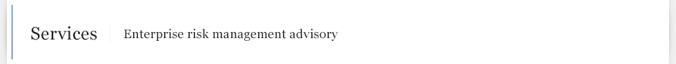 Services Enterprise risk management advisory