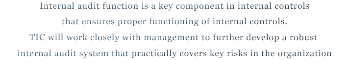 Internal audit function is a key component in internal controls that ensures proper functioning of internal controls. TIC will work closely with management to further develop a robust internal audit system that practically covers key risks in the organization Internal audit function is a key component in internal controls that ensures proper functioning of internal controls. TIC will work closely with management to further develop a robust internal audit system that practically covers key risks in the organization
